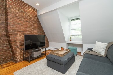 22 E Springfield St unit 4, Boston, MA 02118 - photo 4