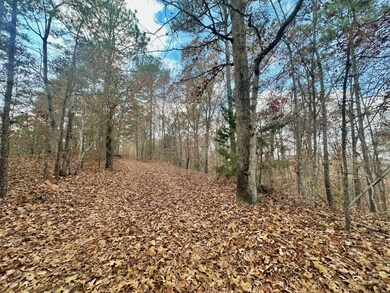 291 County Road 542, Verbena, AL 36091 - photo 7