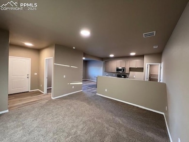 7806 Carrside Grove, Colorado Springs, CO 80951 - photo 3