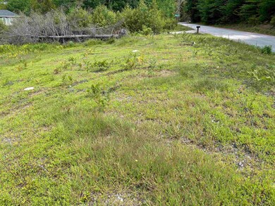 2 Skyline Way, Madison, NH 03849 - photo 3