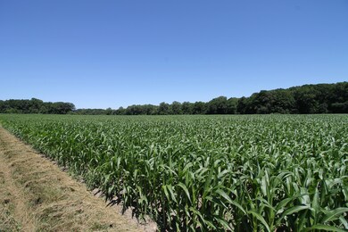 4925 Sawyer Rd, Sawyer, MI 49125 - photo 4