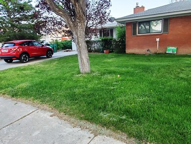 Front yard East side