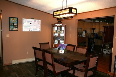 559 Shaffer Rd, Newfield, NY 14867 - photo 7