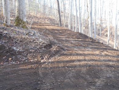 00 Horseshoe Ridge, Franklin, NC 28734 - photo 3