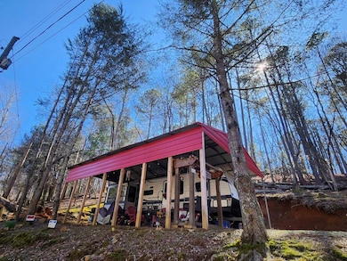 Surrounded by Woods and Wildlife.