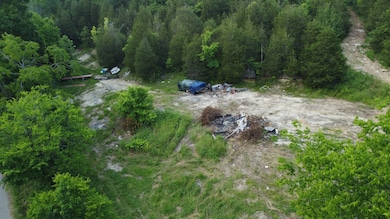 738 Rogues Fork Rd, Bethpage, TN 37022 - photo 7