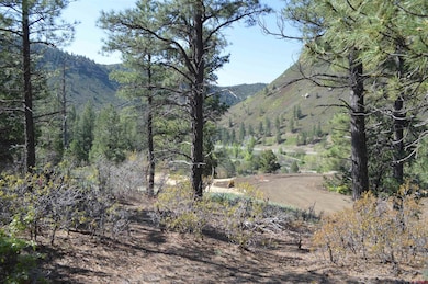 89 Wild Chives Court (Lot 115), Durango, CO 81301 - photo 2