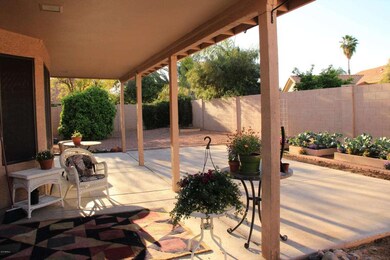 Back Patio