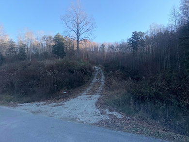 3515 Ky 1232, Gray, KY 40734 - photo 3