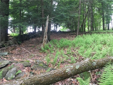 10.7 & 10.9 Cty Hwy 141 Horseshoe Lake Rd, Bethel, NY 12720 - photo 4