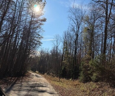 0 Williams Bridge Rd unit 25752991, Toccoa, GA 30577 - photo 4