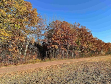 40 acre Tryba Rd, Reid, WI 54440 - photo 3