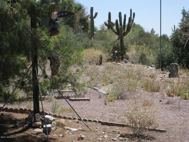 Natural Vegetation Surrounds Home