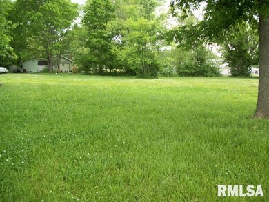 1813 W Chestnut St, Harrisburg, IL 62946 - photo 3