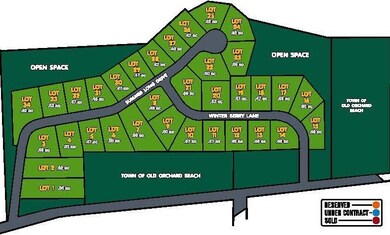 sumter landing lot plan