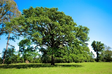 5575 Fm 1638, Nacogdoches, TX 75964 - photo 2