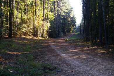 Spring Creek Lane