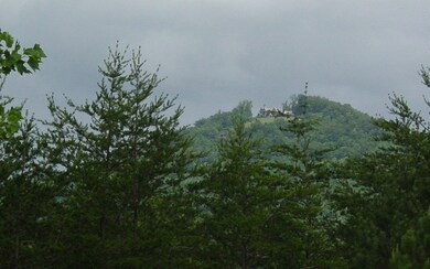 Additional View