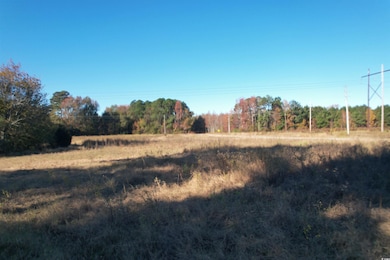 TBD Carroll Rd, Latta, SC 29565 - photo 2