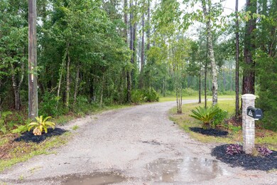 12524 Percy Ln, Jacksonville, FL 32218 - photo 3