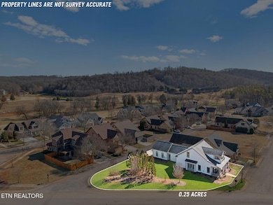 DJI_20250226035417_0133_D-PROPERTY LINES