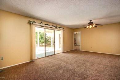 9915 W Audrey Dr, Sun City, AZ 85351 - photo 6