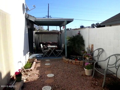 back yard