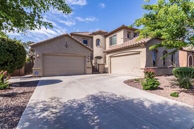 0002-Desert Broom - 2837 (1)
