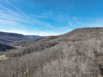 Lt 9 Hickory Hill Sec S Fork, Slaty Fork, WV 26505 - photo 2