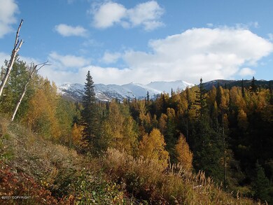 Mountain Views