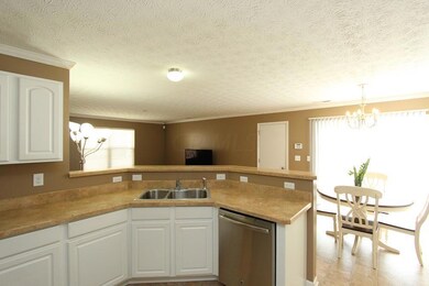 View from Kitchen