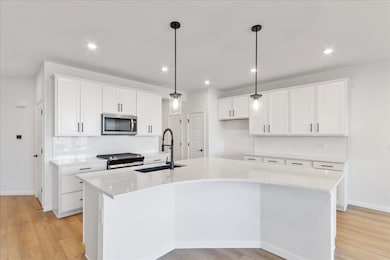 688 Switchgrass Way unit 57003, Bolingbrook, IL 60490 - photo 6