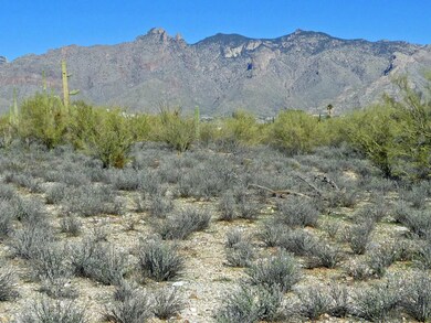 0 N Campbell Ave unit 21400292, Tucson, AZ 85718 - photo 6