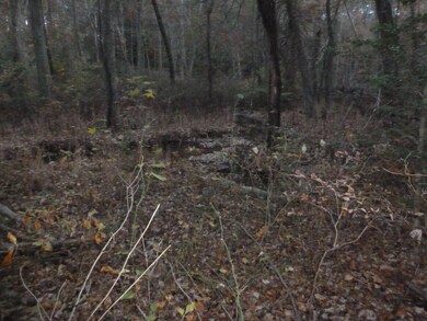 1284 Heron Point Rd, Tappahannock, VA 22560 - photo 4