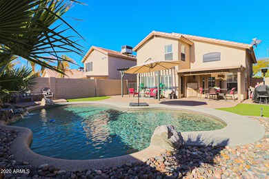 Entertainer's Backyard