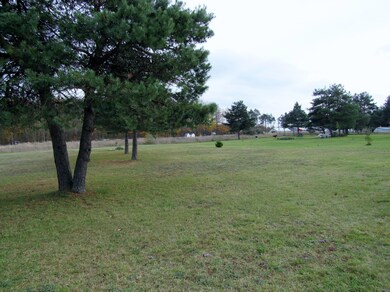 Nice Large Back Yard