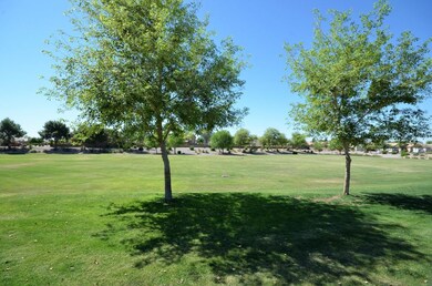 Community Park