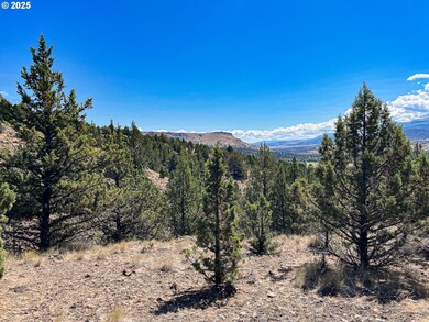 219 Valley View Dr, John Day, OR 97845 - photo 6