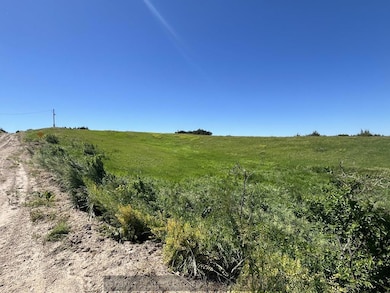 791 791 Rd, Central Loup City, NE 68853 - photo 4