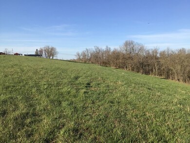 4325 Kentucky 596, Mayslick, KY 41055 - photo 3