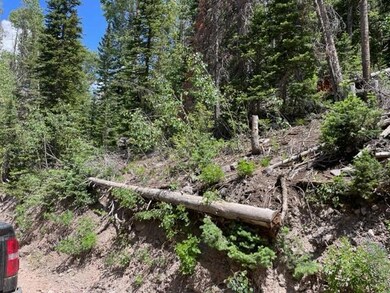 238 E Snow Shoe Cir unit SHC unit B blk B lot, Brian Head, UT 84719 - photo 3