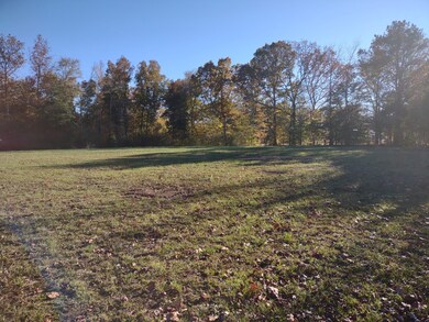 547 Horseshoe Bend Rd, Flatwoods, TN 37096 - photo 3