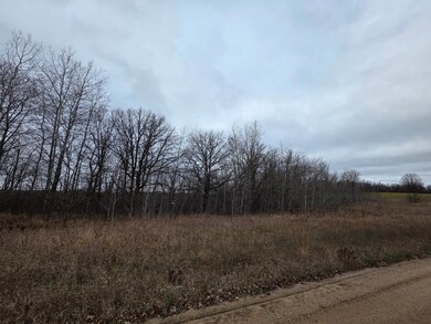 2767 Minnesota 113, Waubun, MN 56589 - photo 3