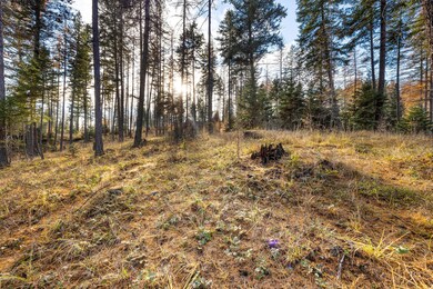 76 Meadow Mint Way, Kalispell, MT 59901 - photo 6