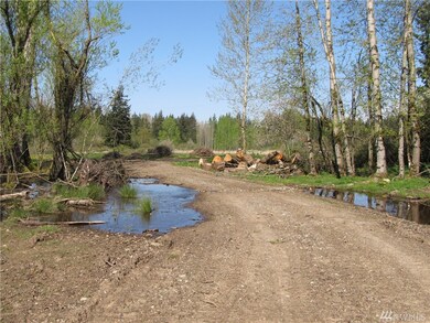 0 Arnie Rd, Custer, WA 98240 - photo 2