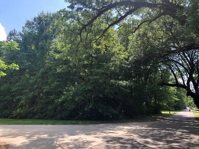 Lot 8 Williamsburg Rd, Picayune, MS 39466 - photo 3