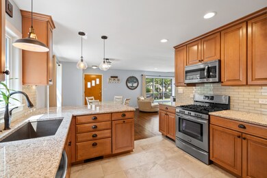 347 N Larch Ave, Elmhurst, IL 60126 - photo 7