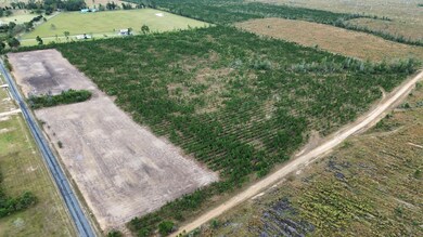 Elengton Rd aerial 1 no border