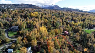 L9 & L10 Feodosia Dr, Anchorage, AK 99516 - photo 4