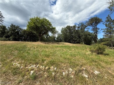 408 E High St, Flushing, OH 43977 - photo 2